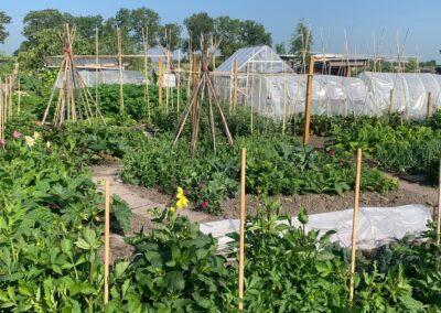 moestuin